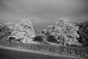 Stille im Licht.