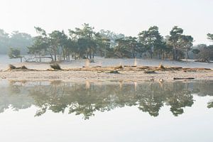 Reflexion – Nationalpark De Loonse en Drunense Duinen von Laura Vink