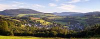 Panorama van het rozendorp Assinghausen