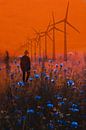 BLUETS by db Waterman thumbnail