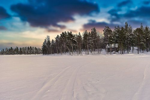 Nationaal Park Pasvik