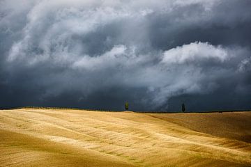 Tuscan Landscape by Peter Poppe