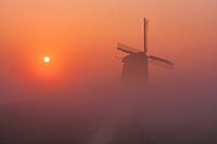 Windmill the Bosmolen