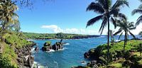 Waianapanapa Black Sand Beach, Hawaii, Maui