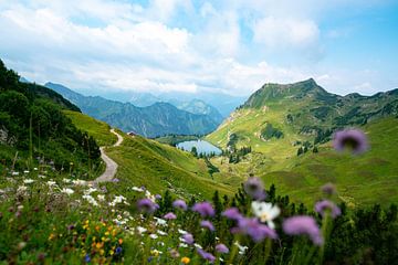 Bloemrijk uitzicht op de Seealpsee in de Allgäuer Alpen