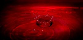 de druppel von Fabienne Cijntje