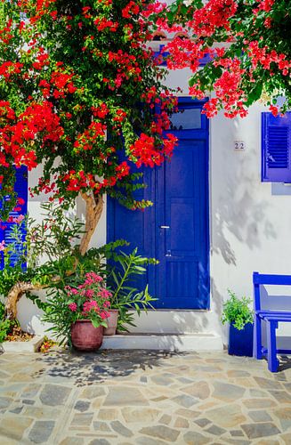 Traditioneel wit huis met blauwe deuren en bloemen, Griekenland