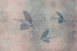 Ibisse im Flug. 2 von Alie Ekkelenkamp