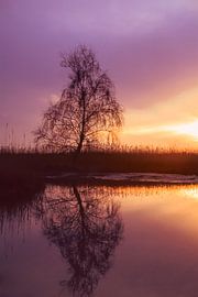 Strabrechtse Heide 166