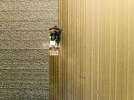 Tracteur préparant le sol pour la plantation de cultures sur Sjoerd van der Wal Photographie