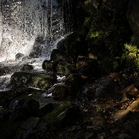 Licht op natuur van Jarno van Osch