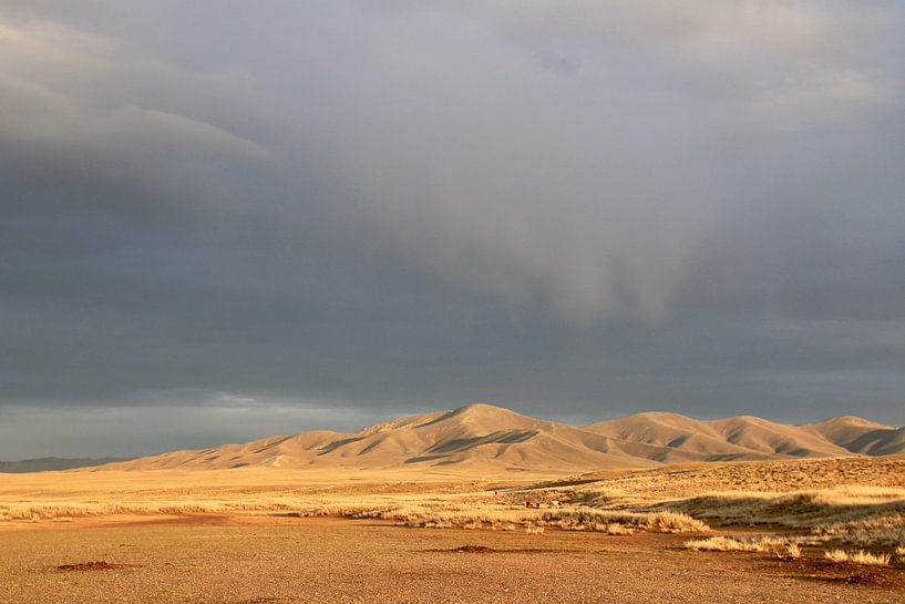 Dreigende lucht in de Gobi woestijn van Suitcasefullofsmiles