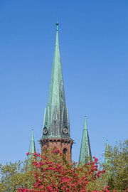 Lambertikirche, Oldenburg in Oldenburg, Niedersachsen, Deutschla von Torsten Krüger