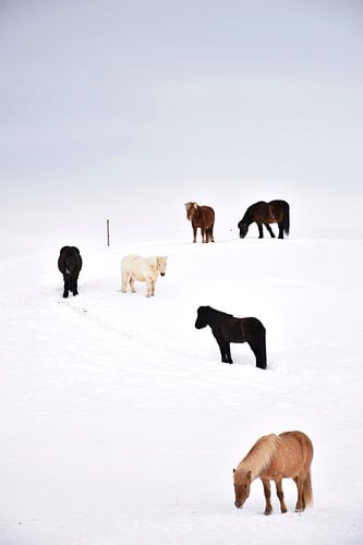 Social distancing in Iceland
