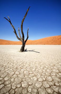 Deadvlei à Sossusvlei, Namibie sur Fotografie Egmond