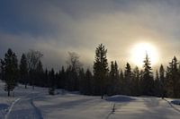snowy landscape