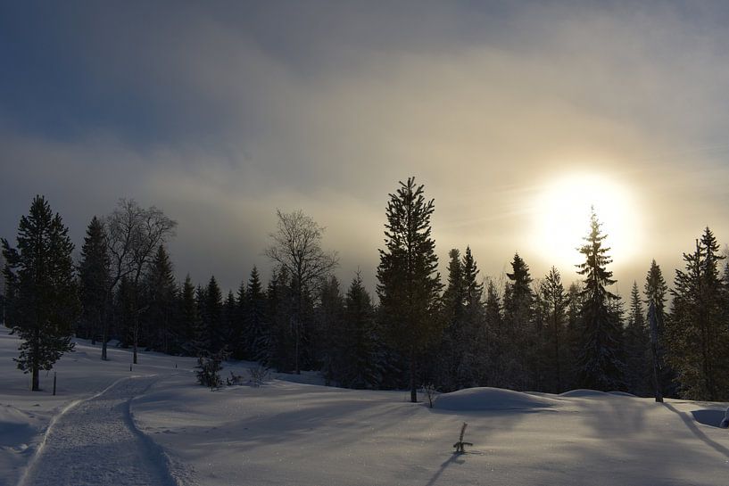 paysage enneigé par M M
