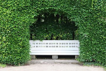 A bench in the countryside