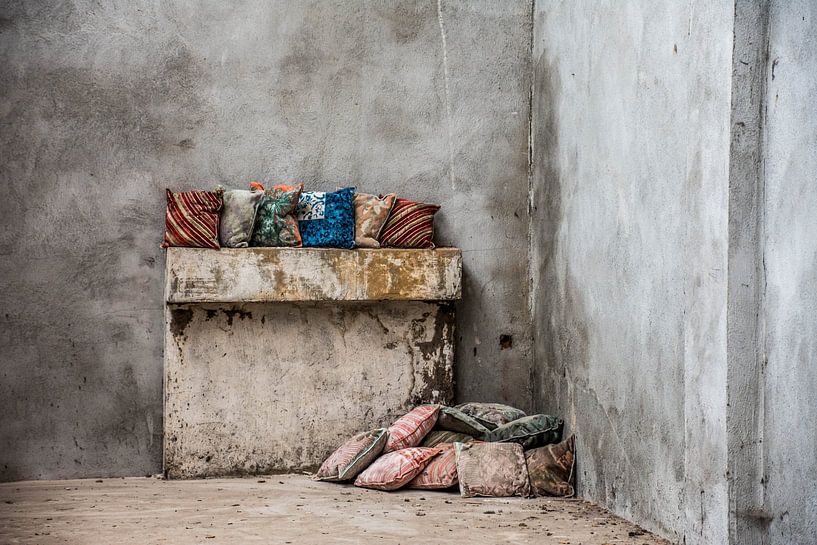 une nature morte où la tranquillité rayonne. par philippe evenepoel