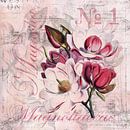 Magnolia's Nostalgie van Andrea Haase thumbnail