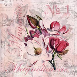 Magnolia's Nostalgie van Andrea Haase