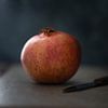 Pomegranate by Christa van Gend