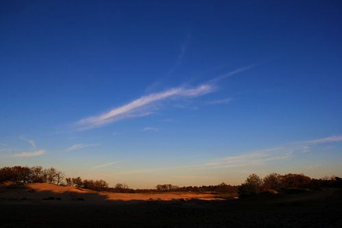 brabantse duinen bij zonsondergang