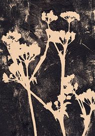 Witte bloemen op zwart. van Dina Dankers