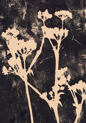 Witte bloemen op zwart.