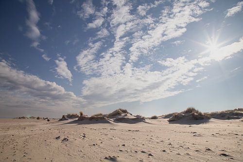 Zonnige dag op het strand van Louise Poortvliet