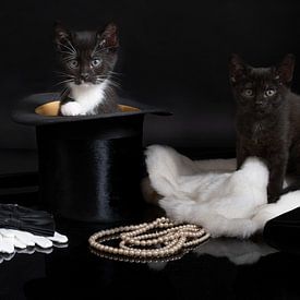 Twee kittens in een stilleven met een hoge hoed parel ketting handschoenen vlinderdas bontjas van Leoniek van der Vliet