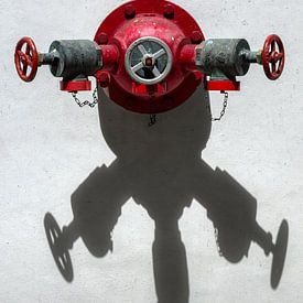 Beschatteter Feuerhydrant von Mark den Hartog