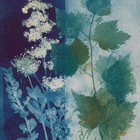 Cyanotype botanique dans les tons bleu-vert avec des feuilles et des fleurs détaillées sur But First Framing