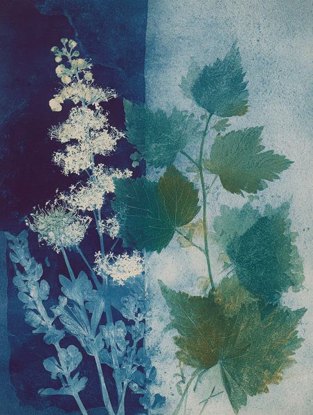 Botanical cyanotype in shades of blue-green with detailed leaves and flowers by But First Framing