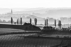 Eyserhalte von Rob Boon