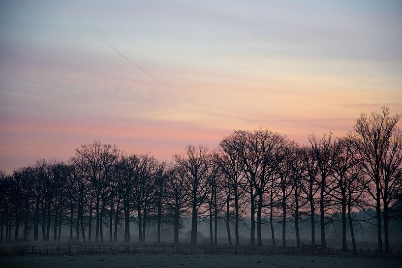 Die Sonne geht auf! von Jaap Kloppenburg