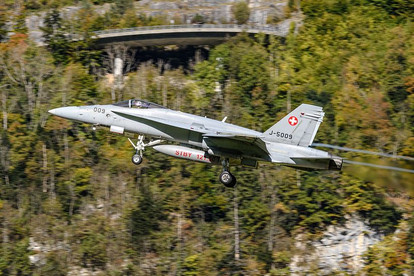 Boeing F/A-18C Hornet of the Swiss Air Force. by Jaap van den Berg