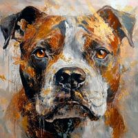 Amerikaanse Buldog