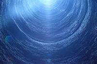Tunnelvisie