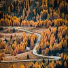 Follow your own path through the Dolomites in Italy by Patrick van Os