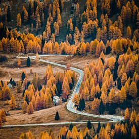 Suivez votre propre chemin à travers les Dolomites en Italie sur Patrick van Os