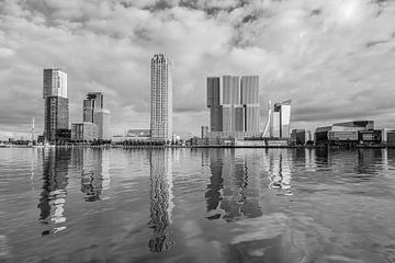 Rotterdam Rijnhaven et Wilhelminapier sur MS Fotografie | Marc van der Stelt