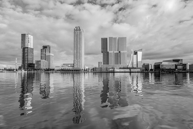 Rotterdam Rijnhaven and Wilhelminapier by MS Fotografie | Marc van der Stelt