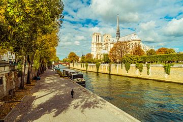 Paris Notre Dame von davis davis