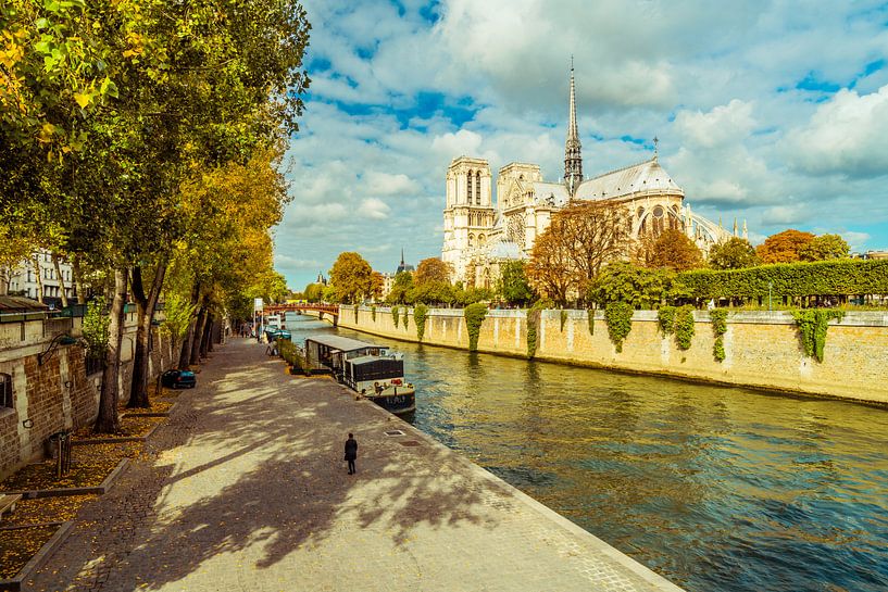 Paris Notre Dame van davis davis