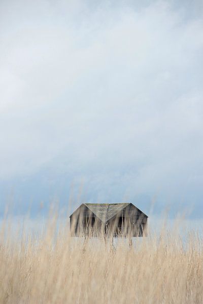 The Viewer by Foto's van EL