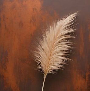 Plume Pampus grass