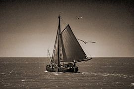 Tjalk  von Lex van der Putten