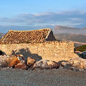 L'heure d'or dans la réserve naturelle enchanteresse de Custonazi en Sicile sur Silva Wischeropp