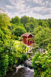 Arbres fruitiers le long d'un ruisseau avec un petit pont devant une maison en bois rouge en Suède.